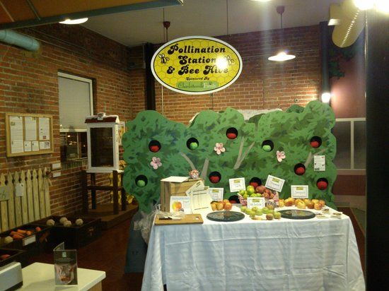 Virginia Discovery Museum